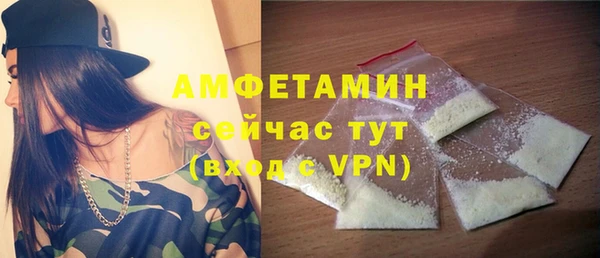 молекула духа Михайловск