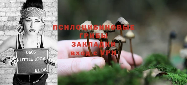 гидра Михайловка