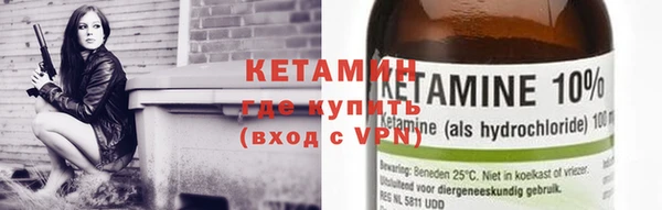 гидра Михайловка