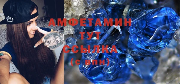 гидра Михайловка
