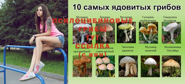 молекула духа Михайловск