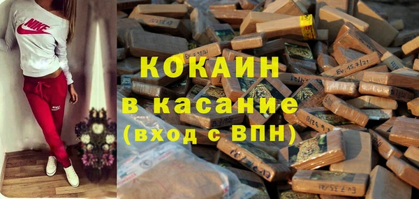 гидра Михайловка