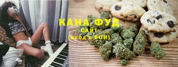 молекула духа Михайловск