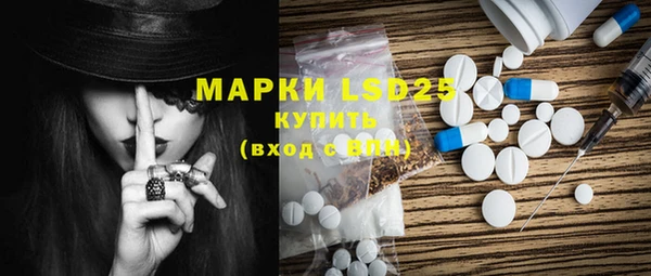 гидра Михайловка
