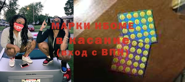 гидра Михайловка