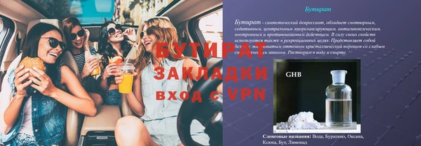 гидра Михайловка